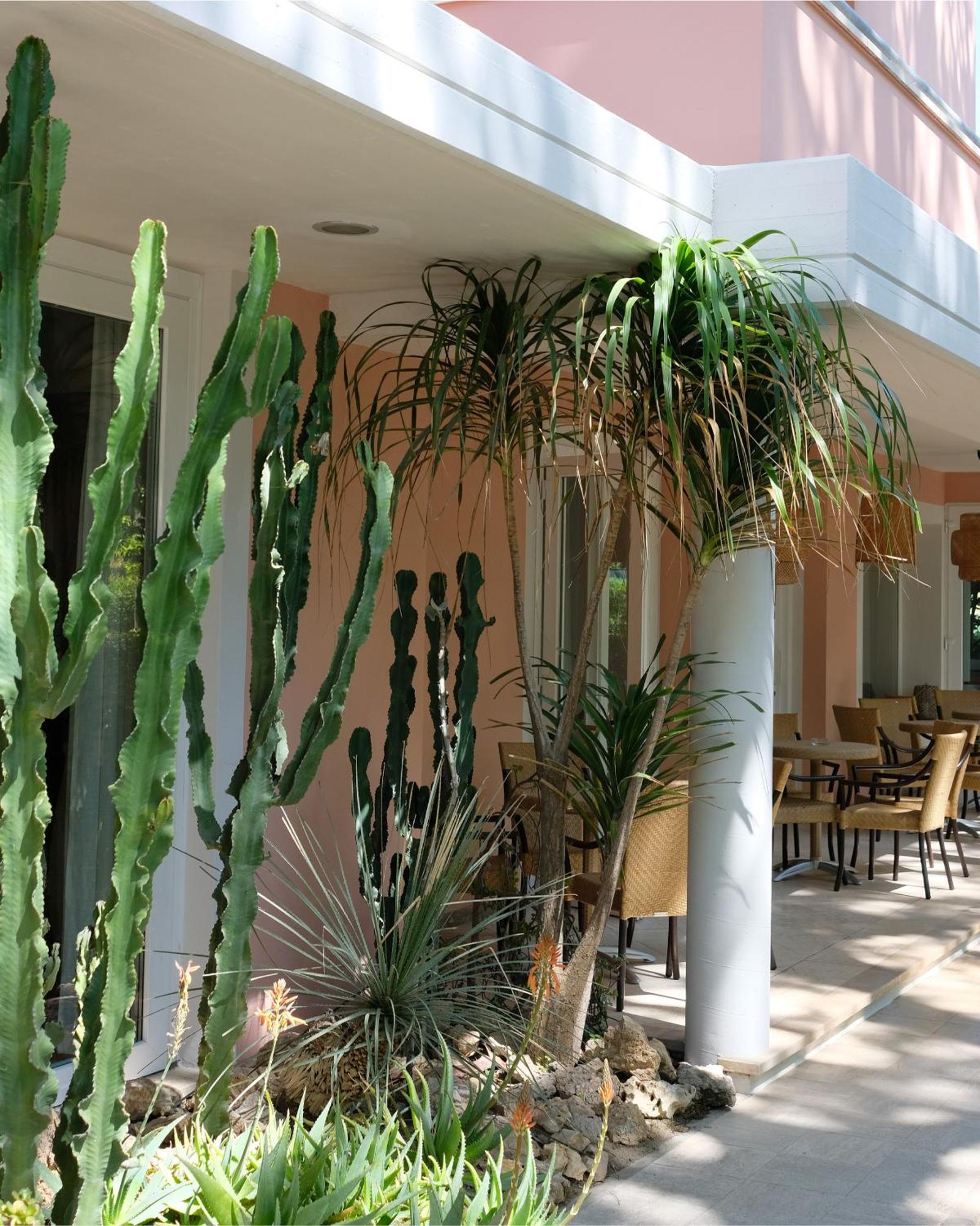 Hotel Piccolo Mondo Lido di Camaiore Esterno foto